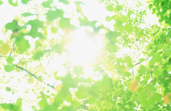 空き家のご相談はVLIPへ